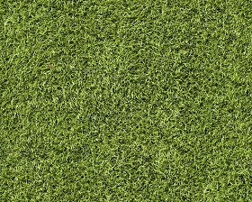 Textures   -   NATURE ELEMENTS   -   VEGETATION   -   Green grass  - Green grass texture seamless 13012 (seamless)