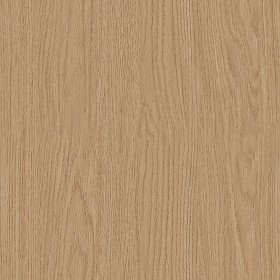 Textures   -   ARCHITECTURE   -   WOOD   -   Fine wood   -   Light wood  - Light wood fine texture seamless 04337 (seamless)