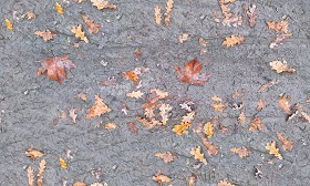 Textures   -   NATURE ELEMENTS   -   SOIL   -  Mud - Mud with leaves texture seamless 21311