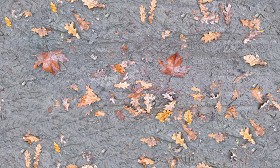 Textures   -   NATURE ELEMENTS   -   SOIL   -   Mud  - Mud with leaves texture seamless 21311 (seamless)