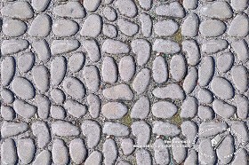 Textures   -   ARCHITECTURE   -   ROADS   -   Paving streets   -   Rounded cobble  - Rounded cobblestone texture seamless 18098 (seamless)