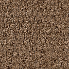 Textures   -   MATERIALS   -   CARPETING   -   Brown tones  - Brown carpeting texture seamless 16573 (seamless)