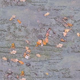 Textures   -   NATURE ELEMENTS   -   SOIL   -  Mud - Mud with leaves texture seamless 21312