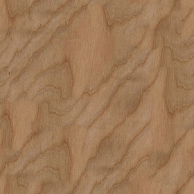 Textures   -   ARCHITECTURE   -   WOOD   -  Plywood - Plywood texture seamless 04555