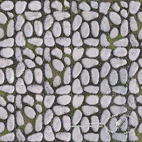 Textures   -   ARCHITECTURE   -   ROADS   -   Paving streets   -  Rounded cobble - Rounded cobblestone texture seamless 18099