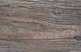 Textures   -   NATURE ELEMENTS   -  BARK - Bark texture seamless 12355