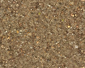Textures   -   NATURE ELEMENTS   -   SOIL   -  Ground - Ground texture seamless 12858