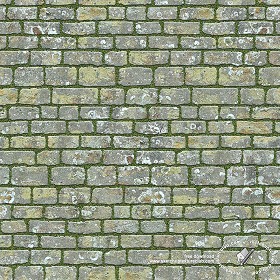 Textures   -   ARCHITECTURE   -   PAVING OUTDOOR   -   Parks Paving  - Park damaged paving stone texture seamless 18803 (seamless)