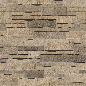 Textures   -   ARCHITECTURE   -   STONES WALLS   -   Claddings stone   -  Interior - Stone cladding internal walls texture seamless 08076