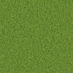 Textures   -   NATURE ELEMENTS   -   VEGETATION   -  Green grass - Green grass texture seamless 13016