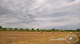 Textures   -   BACKGROUNDS &amp; LANDSCAPES   -   NATURE   -   Countrysides &amp; Hills  - Countryside landscape with hay rolls 17973