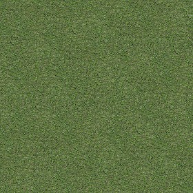 Textures   -   NATURE ELEMENTS   -   VEGETATION   -   Green grass  - Green grass texture seamless 13017 (seamless)