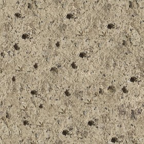 Textures   -   NATURE ELEMENTS   -   SOIL   -  Ground - Ground texture seamless 12861
