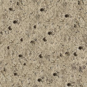 Textures   -   NATURE ELEMENTS   -   SOIL   -   Ground  - Ground texture seamless 12861 (seamless)