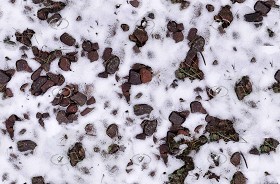 Textures   -   NATURE ELEMENTS   -  SNOW - Snow texture seamless 21164