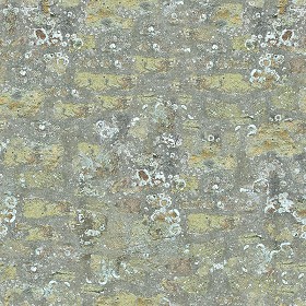 Textures   -   ARCHITECTURE   -   STONES WALLS   -   Wall surface  - Dirty stone wall surface texture seamless 08637 (seamless)
