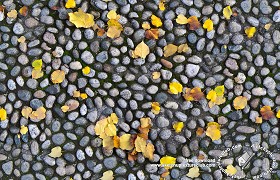 Textures   -   ARCHITECTURE   -   ROADS   -   Paving streets   -  Rounded cobble - Rounded cobblestone with dead leaves texture seamless 18791