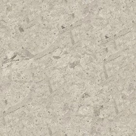 Textures   -   ARCHITECTURE   -   MARBLE SLABS   -  Grey - Slab marble thala grey texture seamless 02351