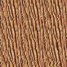 Textures   -   NATURE ELEMENTS   -  BARK - Bark texture seamless 12360