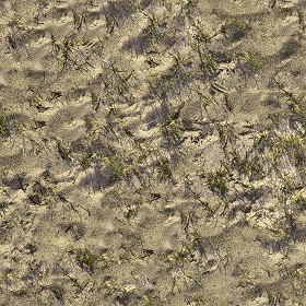 Textures   -   NATURE ELEMENTS   -  SAND - Beach sand texture seamless 12752