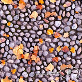 Textures   -   ARCHITECTURE   -   ROADS   -   Paving streets   -   Rounded cobble  - Rounded cobblestone with dead leaves texture seamless 18792 (seamless)