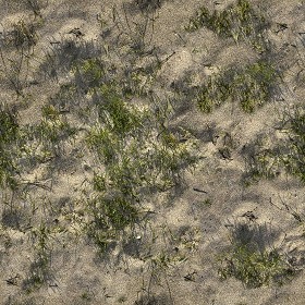 Textures   -   NATURE ELEMENTS   -  SAND - Beach sand texture seamless 12753