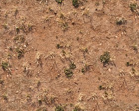 Textures   -   NATURE ELEMENTS   -   SOIL   -  Ground - Ground texture seamless 12864