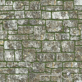 Textures   -   ARCHITECTURE   -   PAVING OUTDOOR   -   Parks Paving  - Park damaged paving stone texture seamless 18809 (seamless)