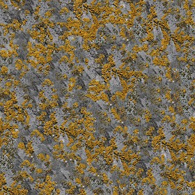 Textures   -   NATURE ELEMENTS   -   ROCKS  - Rock stone texture seamless 12674 (seamless)