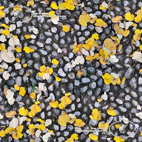 Textures   -   ARCHITECTURE   -   ROADS   -   Paving streets   -   Rounded cobble  - Rounded cobblestone with dead leaves texture seamless 19064 (seamless)