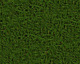 Textures   -   NATURE ELEMENTS   -   VEGETATION   -   Green grass  - Green grass texture seamless 13022 (seamless)