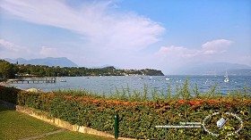 Textures   -   BACKGROUNDS &amp; LANDSCAPES   -   NATURE   -  Lakes - Italy garda lake landascape 18324