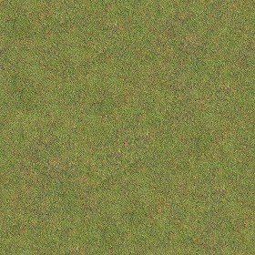 Textures   -   NATURE ELEMENTS   -   VEGETATION   -   Green grass  - Green grass texture seamless 13023 (seamless)