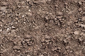 Textures   -   NATURE ELEMENTS   -   SOIL   -   Ground  - Ground texture seamless 12867 (seamless)