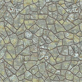 Textures   -   ARCHITECTURE   -   PAVING OUTDOOR   -  Flagstone - Paving flagstone texture seamless 05922