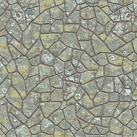 Textures   -   ARCHITECTURE   -   PAVING OUTDOOR   -   Flagstone  - Paving flagstone texture seamless 05922 (seamless)