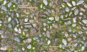 Textures   -   ARCHITECTURE   -   ROADS   -   Paving streets   -  Rounded cobble - Rounded cobblestone with moss texture seamless 19348