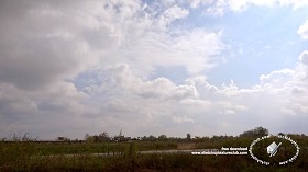 Textures   -   BACKGROUNDS &amp; LANDSCAPES   -   SKY &amp; CLOUDS  - Cloudy sky whit rural background 18376