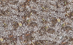 Textures   -   NATURE ELEMENTS   -   VEGETATION   -   Leaves dead  - Gravel with dead leaves 18644