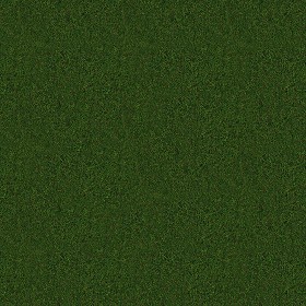 Textures   -   NATURE ELEMENTS   -   VEGETATION   -   Green grass  - Green grass texture seamless 13024 (seamless)