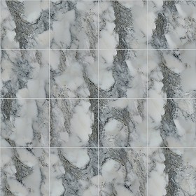 Textures   -   ARCHITECTURE   -   TILES INTERIOR   -   Marble tiles   -  White - Calacatta white marble floor tile texture seamless 14861