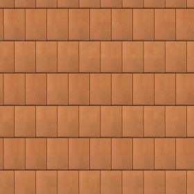 Textures   -   ARCHITECTURE   -   ROOFINGS   -  Flat roofs - Flat clay roof tiles texture seamless 03577