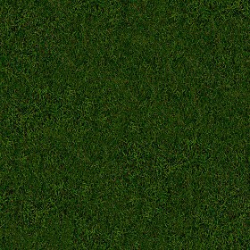 green grass textures seamless