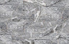 Textures   -   ARCHITECTURE   -   TILES INTERIOR   -   Marble tiles   -  Grey - Peach blossom carnian gray marble floor texture seamless 19122