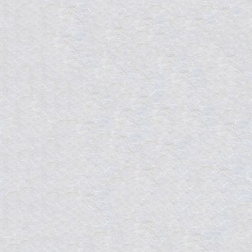 Textures   -   MATERIALS   -   PAPER  - White rice paper texture seamless 10881 (seamless)