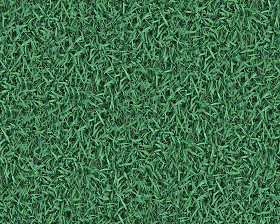 Textures   -   NATURE ELEMENTS   -   VEGETATION   -  Green grass - Green grass texture seamless 13026