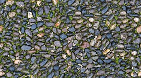 Textures   -   ARCHITECTURE   -   ROADS   -   Paving streets   -   Rounded cobble  - Road wet rounded cobblestone texture seamless 19736 (seamless)