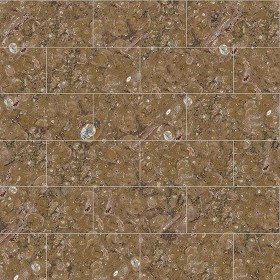 Textures   -   ARCHITECTURE   -   TILES INTERIOR   -   Marble tiles   -   Brown  - Fossil brown marble tile texture seamless 14240 (seamless)