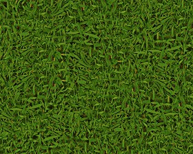 Textures   -   NATURE ELEMENTS   -   VEGETATION   -   Green grass  - Green grass texture seamless 13027 (seamless)