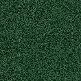 Textures   -   NATURE ELEMENTS   -   VEGETATION   -  Green grass - Green grass texture seamless 13028